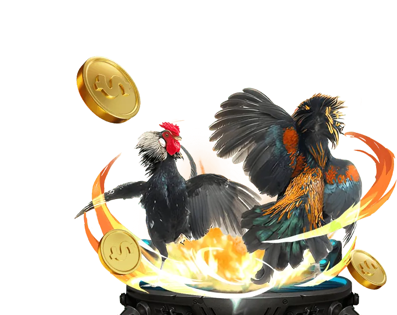 Hỗ trợ về hiệu suất trò chơi cá cược